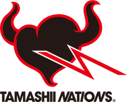 TAMASHII NATIONS