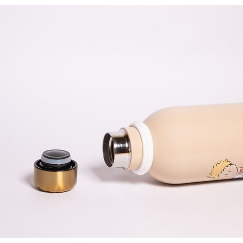 The Little Prince Stainless steel bottle 500ml