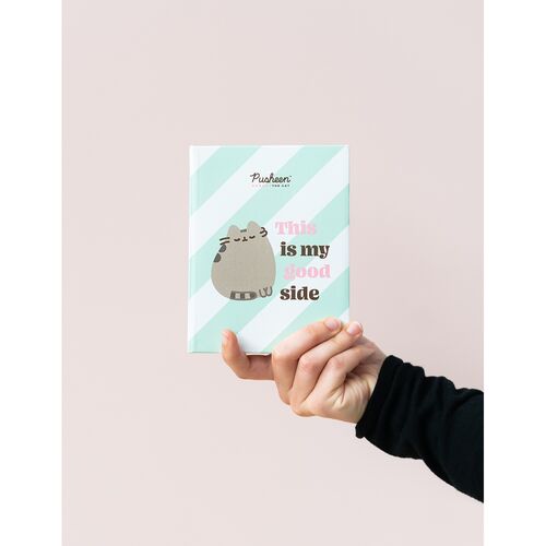 Pusheen Photo album