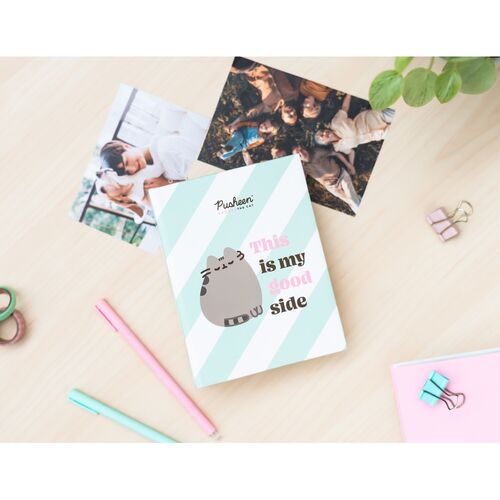 Pusheen Photo album