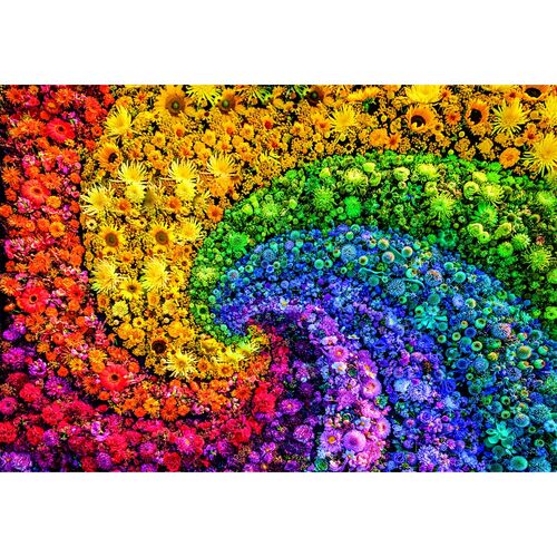 Puzzle Whirl Color Boom 1000pzs