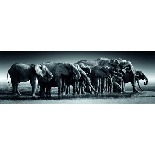 Puzzle Panorama Herd of Giants High Quality 1000pzs