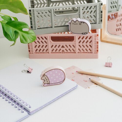 Blister 2 gomas borrar Pusheen