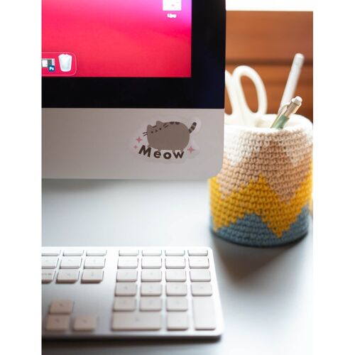 Set pegatinas reutilizables Pusheen