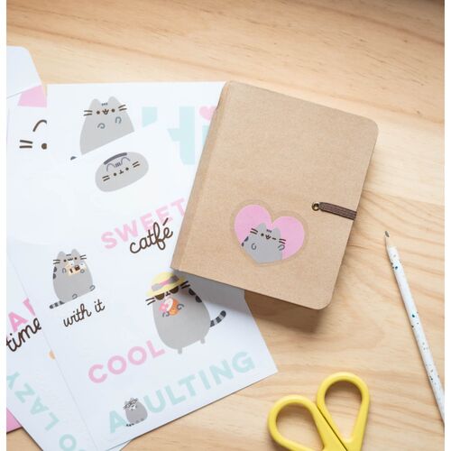 Set pegatinas reutilizables Pusheen