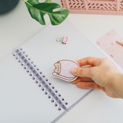 Blister 2 gomas borrar Pusheen