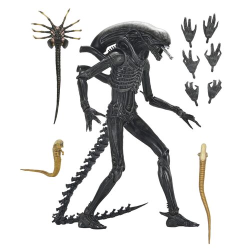 Alien: Romulus Xenomorph Ultimate figure 18cm