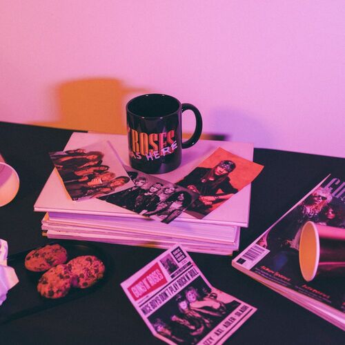 Guns N Roses mug 350ml