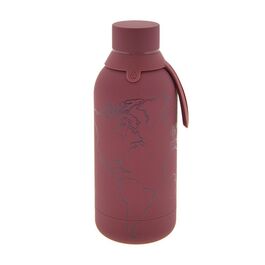 Botella termica Bordeaux World Map 500ml