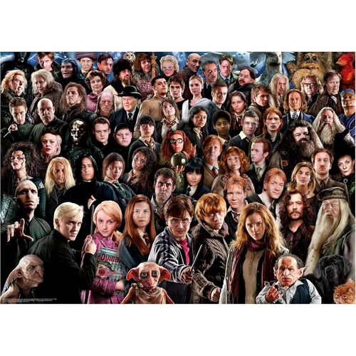 Puzzle Harry Potter 1000pzs