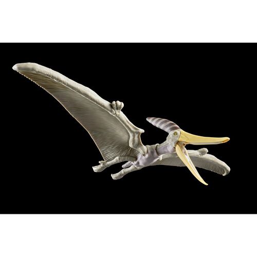 Figura Model Kit Pteranodon Plannosaurus