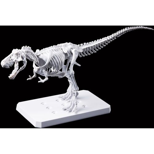 Figura Model Kit Tyrannosaurus Painting Version Plannosaurus