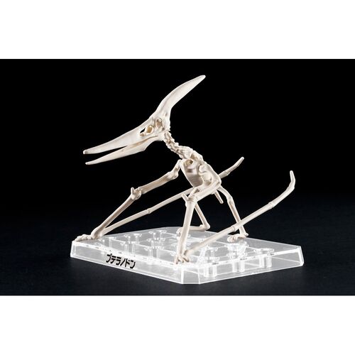 Figura Model Kit Pteranodon Plannosaurus
