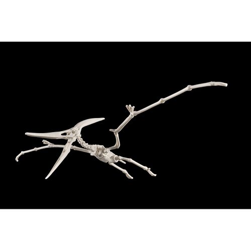 Figura Model Kit Pteranodon Plannosaurus