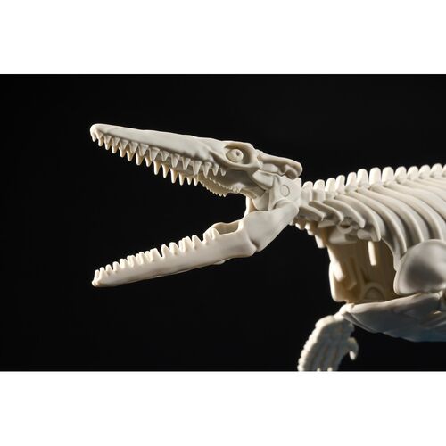 Figura Model Kit Mosasaurus Plannosaurus