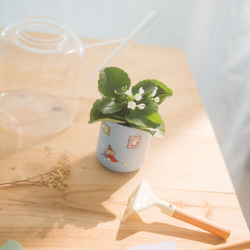 Moomin pencil holder