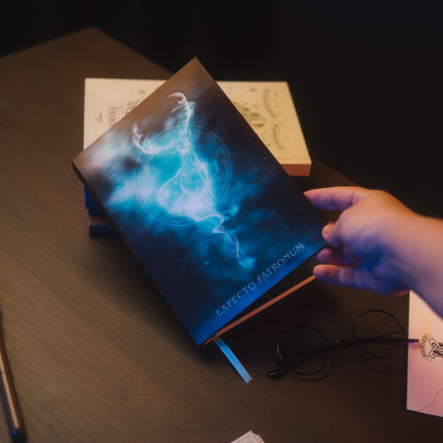 Cuaderno A5 Lenticular Harry Potter