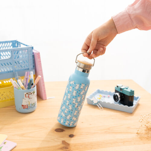 Moomin Stainless steel bottle 500ml