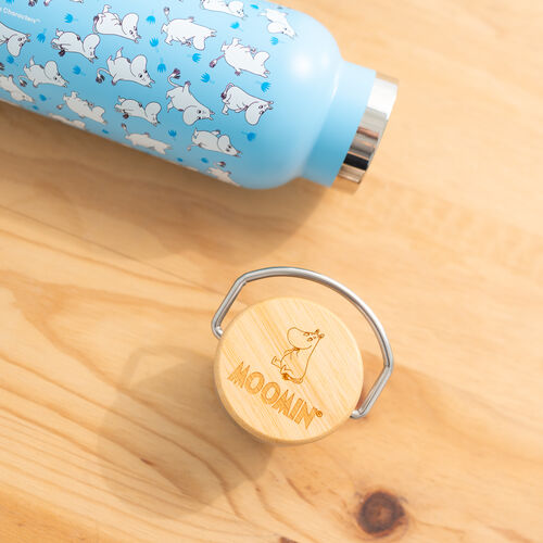 Moomin Stainless steel bottle 500ml