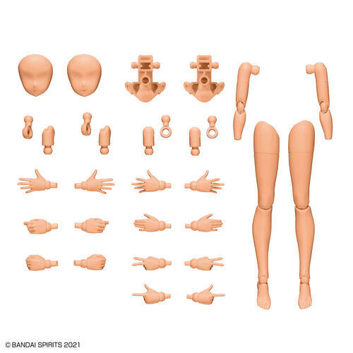 30MS Body Parts Arm & Leg Parts Set Color C
