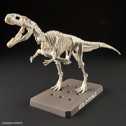 Model Kit Plannosaurus Giganotosaurus