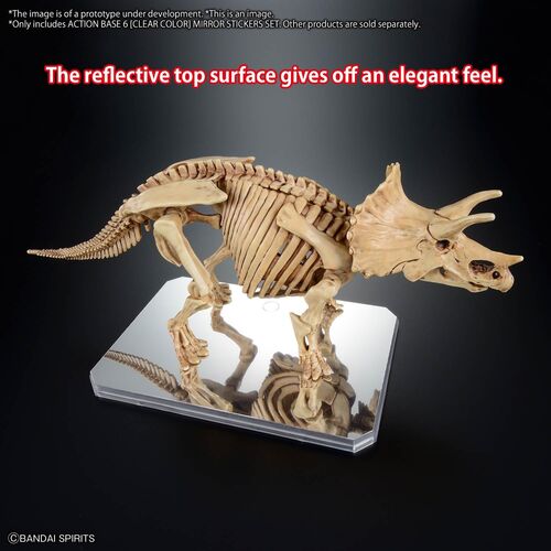 Display Stand Action Base 6 Clear with Mirror Stickers