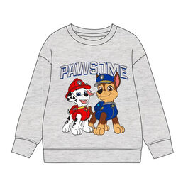Paw Patrol hoodie