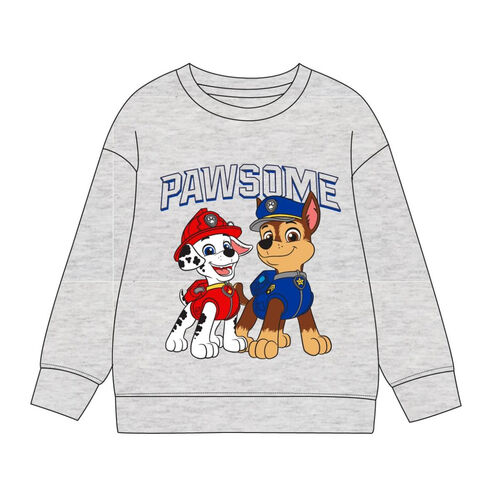Paw Patrol hoodie