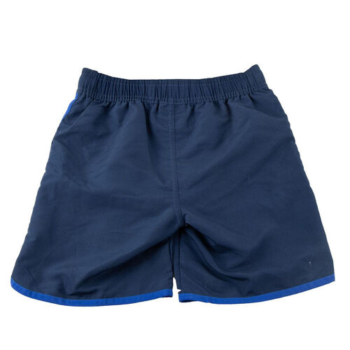 Sonic the Hedgehog shorts swimwear