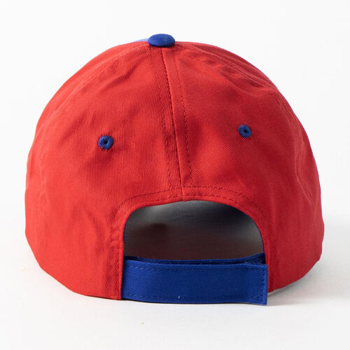 Sonic the Hedgehog assorted cap