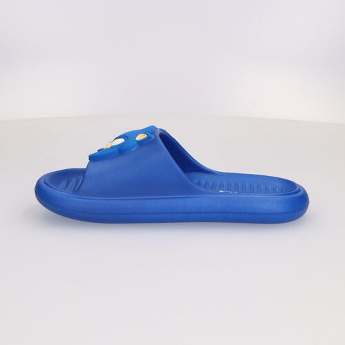 Sonic the Hedgehog flip-flops