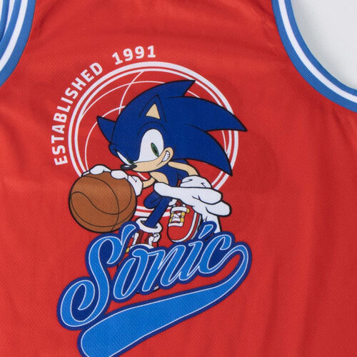 Sonic the Hedgehog outfit