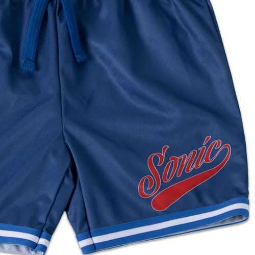 Sonic the Hedgehog outfit