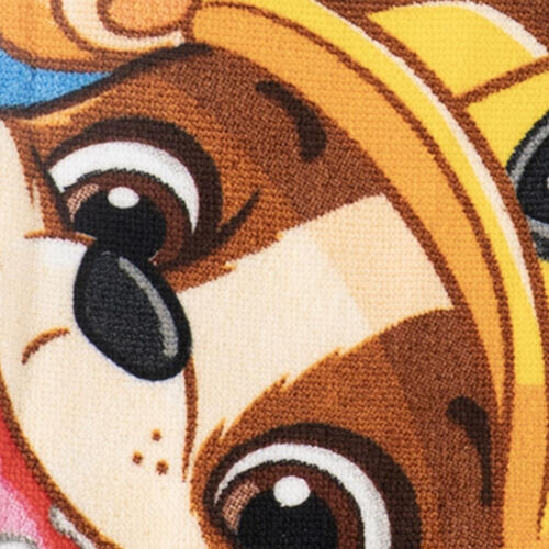 Paw Patrol towel + swimming goggles set