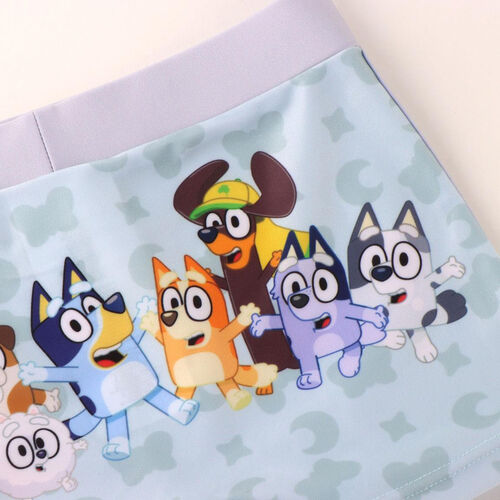 Bluey boxer swimwear