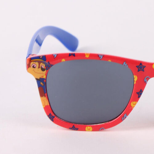 Paw Patrol Sunglasses + case