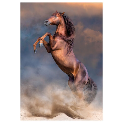 Puzzle Caballo 500pzs