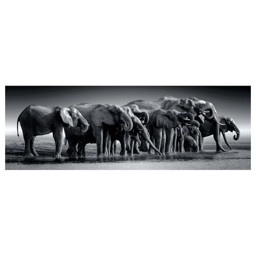 Puzzle Panorama Manada de Gigantes 1000pzs