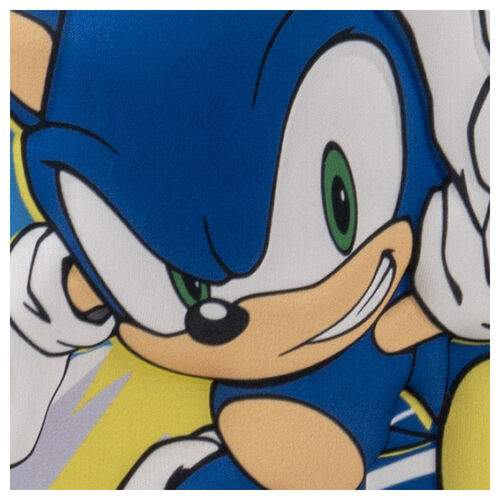 Sonic the Hedgehog 3D lunch bag