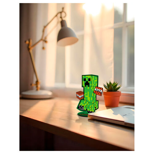 Set colorear Minecraft