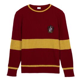 Harry Potter Gryffindor jumper