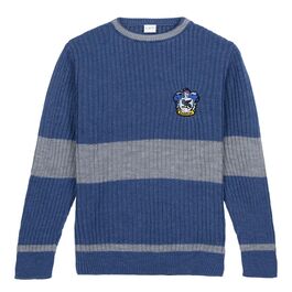 Harry Potter Ravenclaw jumper