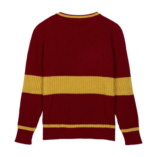 Harry Potter Gryffindor jumper