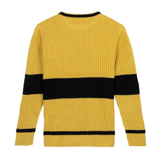 Harry Potter Hufflepuff jumper