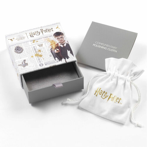 Harry Potter Diadem sterling silver earringss