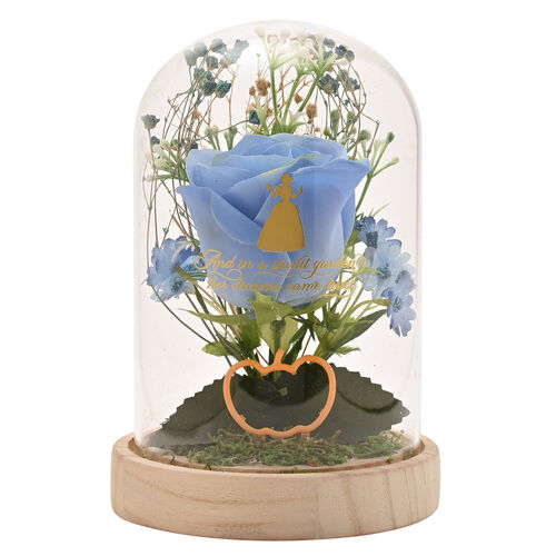 Disney Princess Cinderella florals in a clonche with neon light