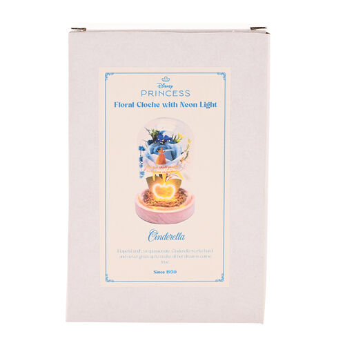 Disney Princess Cinderella florals in a clonche with neon light