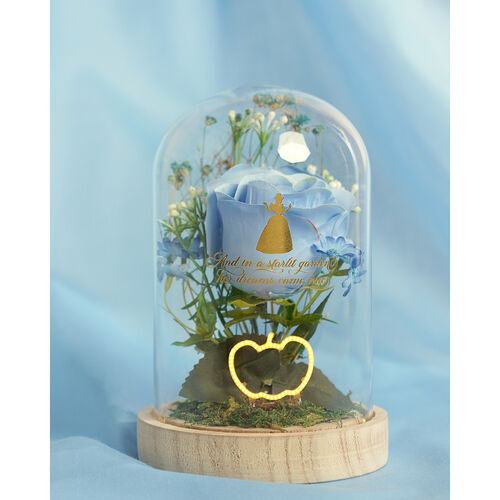 Disney Princess Cinderella florals in a clonche with neon light