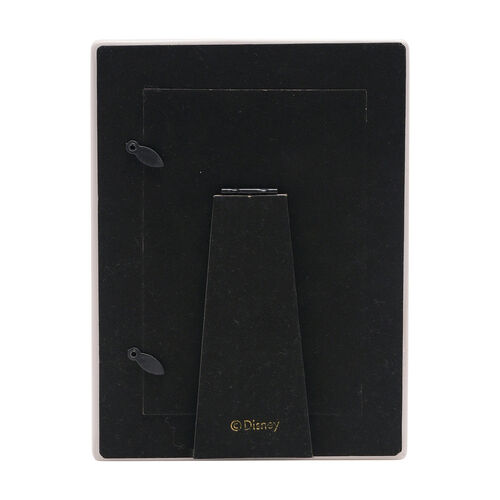 Marco fotos Mickey & Minnie Disney