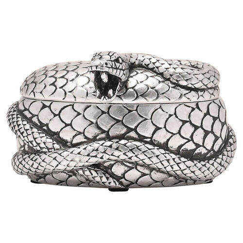 Joyero Nagini Harry Potter